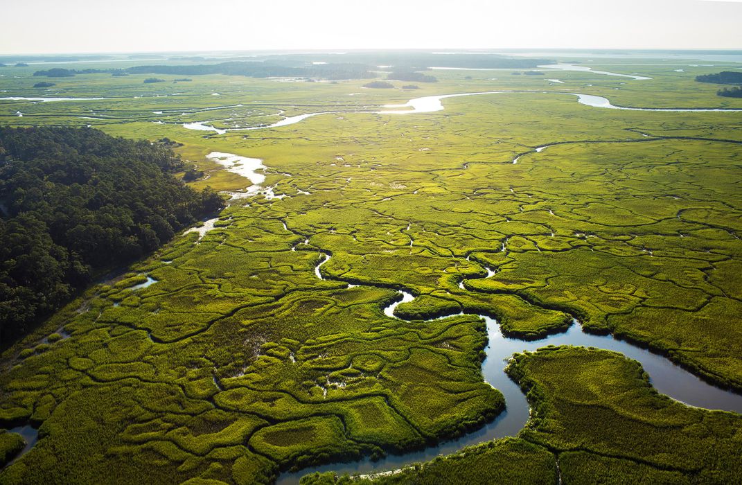 An overhead shot of the marsh in Charleston, SC